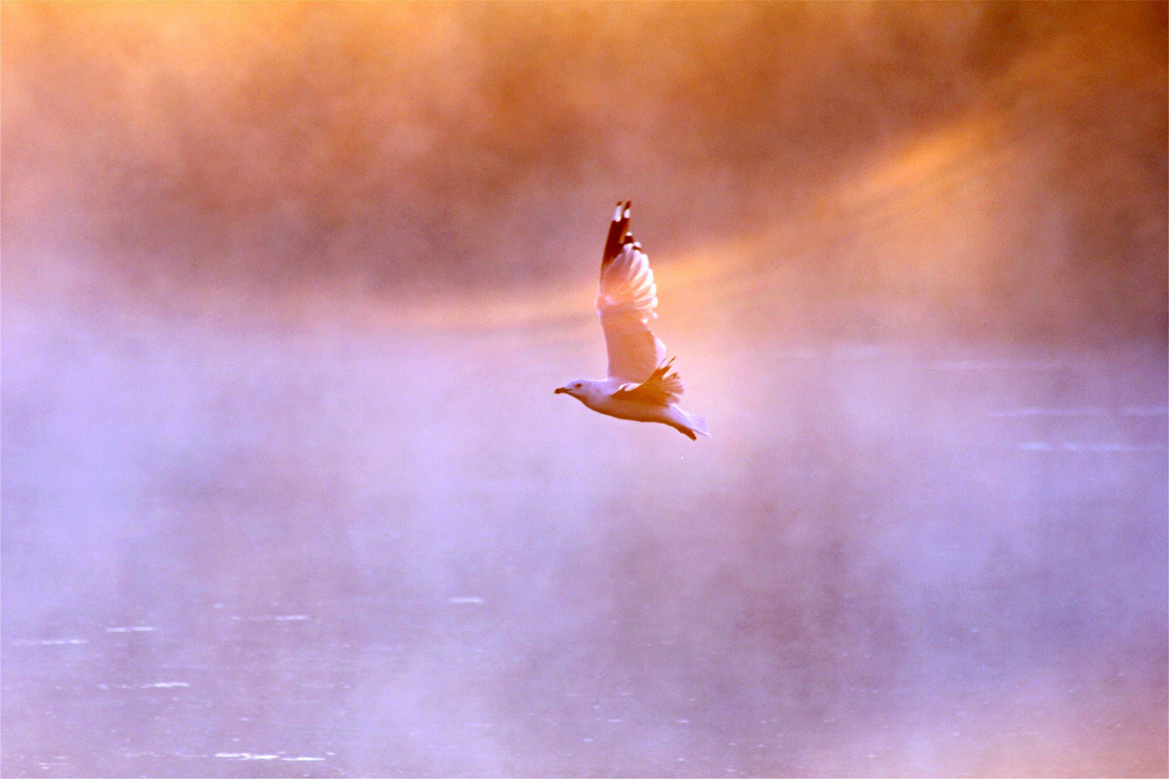 bazi reading singapore 3.1