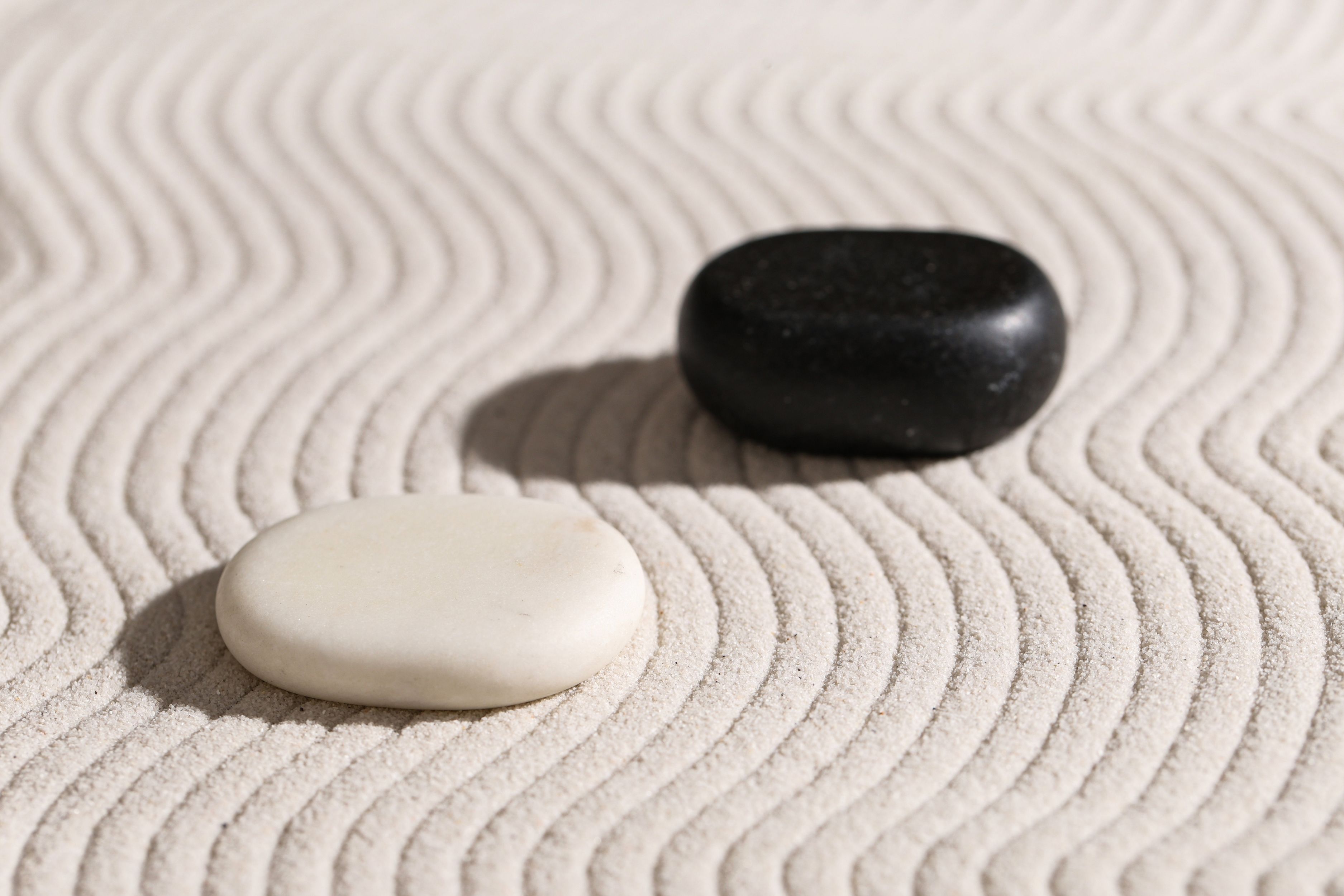 feng shui for business 4.1