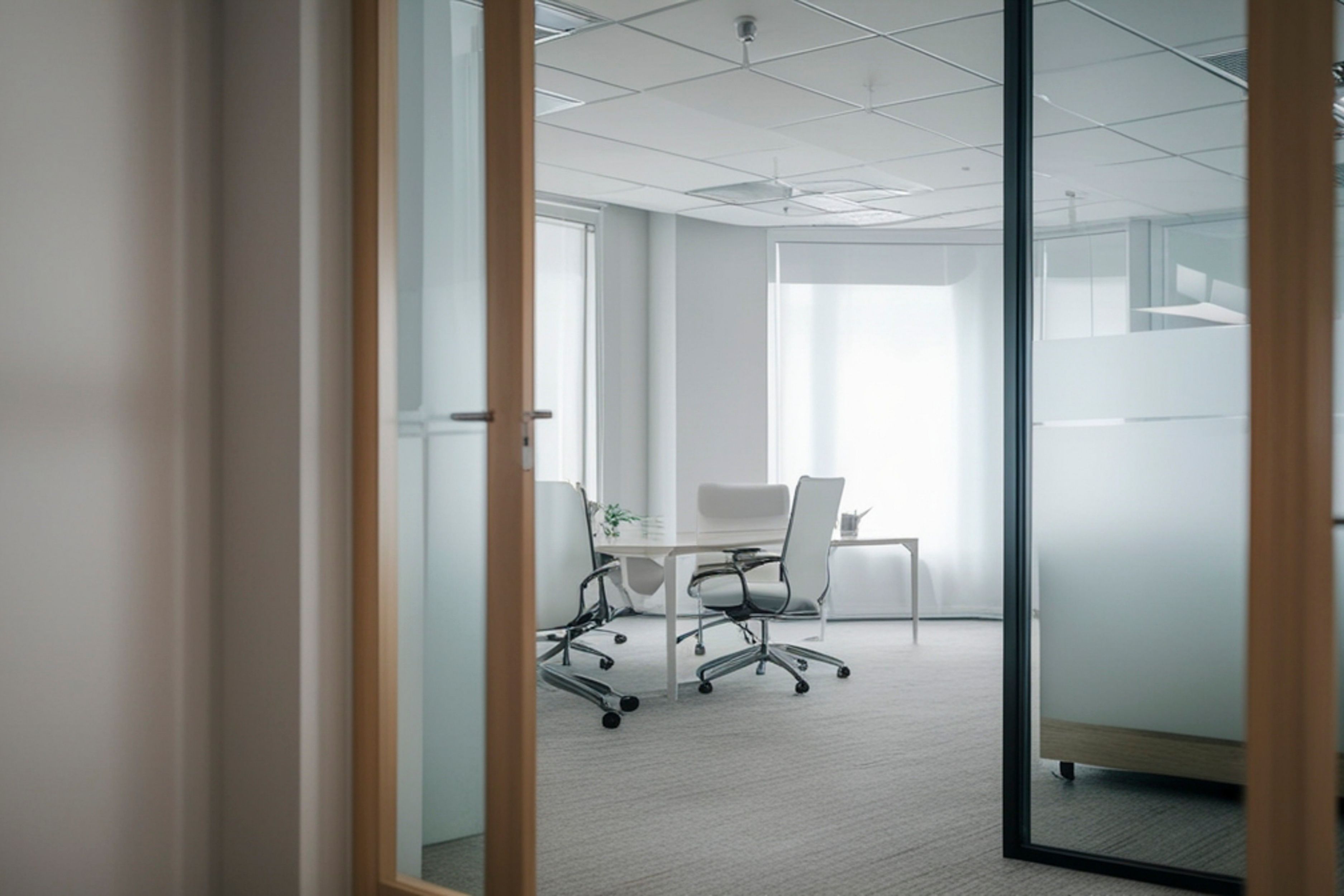 feng shui for business 5.1