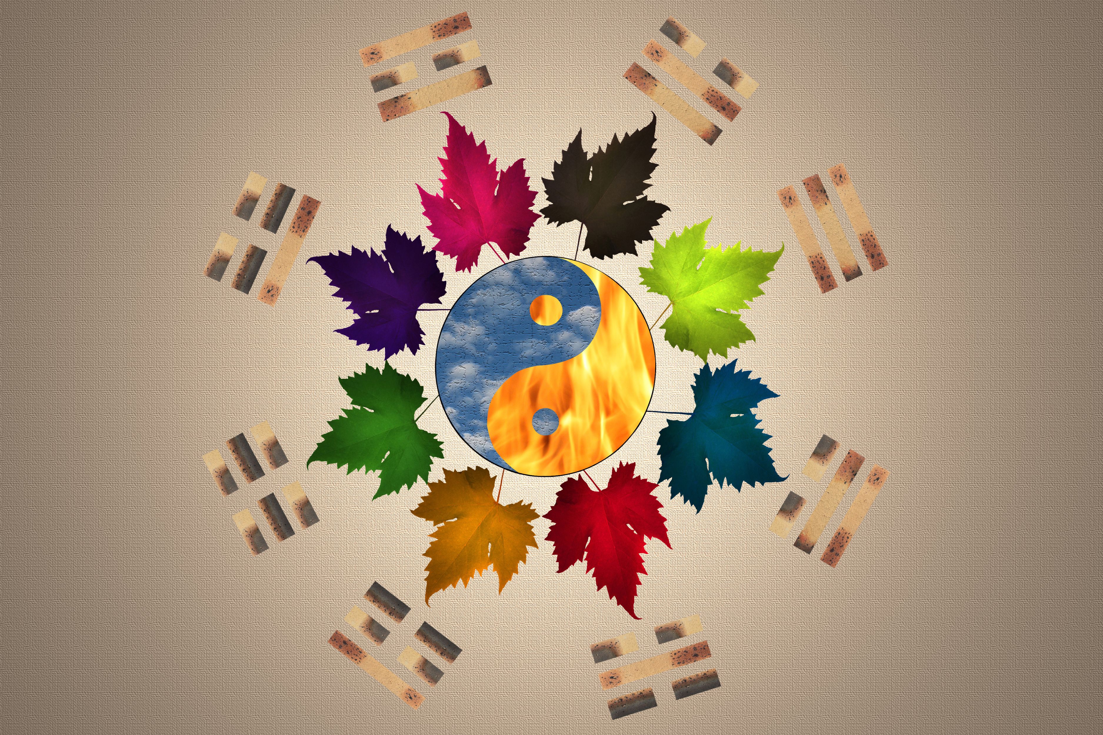 feng shui master 6
