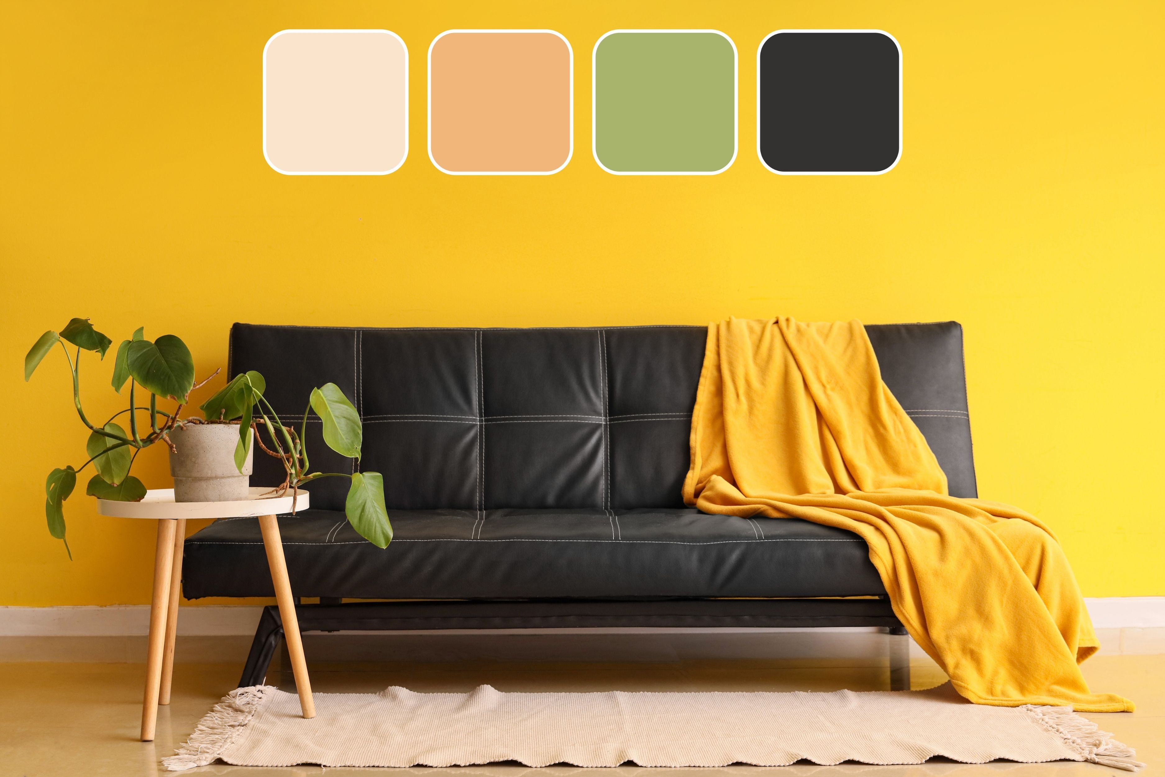personal feng shui 3.2